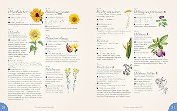 洋書 TER COMPLETE FLOWERS 洋書 TER COMPLETE FLOWERS TER COMPLETE FLOWERS 洋書